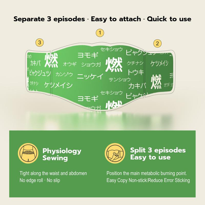 Deritum Japanese Herbal patch Pad Balance Patch,Health Patch,Waist and abdomen brush