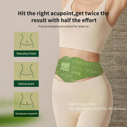 Deritum Japanese Herbal patch Pad Balance Patch,Health Patch,Waist and abdomen brush